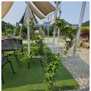 금산펜션 이미지