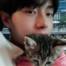 냥냥이네 이미지