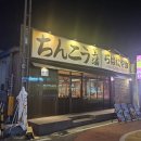 칭코로바타야키 | 울산 삼산 맛집 울산 삼산 술집 울산 삼산 이자카야 칭코 로바타야키 다녀온 후기