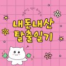 에스케이프 | [광주 방탈출] 충장로 에스케이프 'R.E.D.' 내돈내산 솔직후기 (역대급 스케일!)