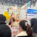 몽실캣 | 대일코 2025 대구 일러스트 코리아 방문 후기
