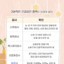 채움동물병원 이미지