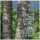 수동연세요양병원 이미지