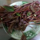 데스까프로젝트