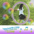 일랑일랑 이미지