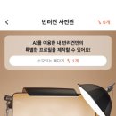 와우 동물병원 이미지
