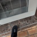 원조분식 | 청주 맛집 성안길 원조고추만두국 청주대 쇼킹분식 오징어김밥 내돈내산 후기