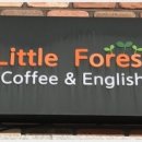 강릉포레스트 이미지