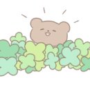 지니 헤어플러스 이미지