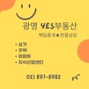 부동산자판기신가람공인중개사사무소 | 안산골프연습장 (골린이 시작) - 광명 예스