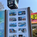유달산둘레길 | 목포 여행 필수코스 유달산 봄 축제로 방문하기 좋은 추천하고 싶은벚꽃명소
