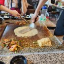 황금오리 이미지