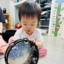 🐠🌊랄랄라 음악-바닷속 산호 친구들🪸✨ 이미지