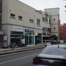 펫엔조이 서귀포점 네이버블로그
