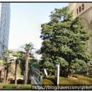 이마트24 구서선경점 | 골드1단지 2006년 대비 250,600,000원 상승한 실거래가 구서롯데캐슬골드1단지 기본 정보 주변 환경 정보