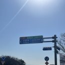 백운포로 | 부산 남구 용호동 백운포 오션뷰 신상 대형 &#34;베이커리카페 가원&#34; 후기 및 주차 정보(ft.반려동물 동반...