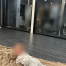 스테이436B
