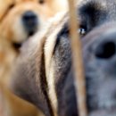 끼리끼리 이미지