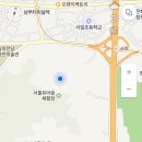 우면산유아숲체험장 네이버블로그