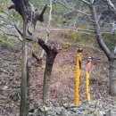 안창약수터 이미지