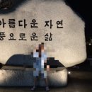 소노펠리체 델피노 이미지