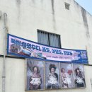 그림해설사와 떠나는 그림 할망 미술관 아트 투어 내돈내산 후기 :: 선흘 그림 작업장 오픈 스튜디오 소개