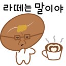 본다방 - 123095 | 본다방