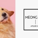 아뜰리에 멍 이미지