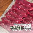 역전프라자 | 평택역 최애 육회집 역전육회 평택점 내돈내산 후기