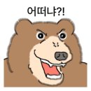 족발야시장 속초교동점 네이버블로그