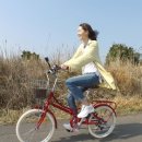 제주첫날 민박 이미지