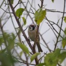 수정네곱창식당 이미지