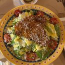 햇살농원 애견 이미지