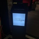 대교로R | 수영구| 광안대교뷰 가성비 피자 맛집|도우개러지 피자 광안점 방문후기