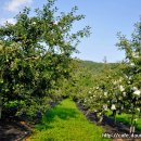 경재 농장 이미지