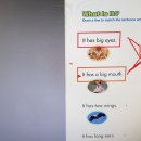 자신감 업 초등영어리딩 이미지