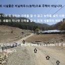 홍천 오지 자연인토지 임야 삼면국유림 차량 진입 이미지