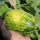 들길농장 이미지