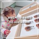 월미로 | 인천 아이랑 실내데이트 추천｜와일드벅스 곤충탐험대 주말에 갈만한 곳