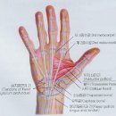 몸짱만들기 GYM 이미지