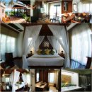 에버그린여행사 이미지