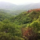 광교산생태학교 이미지