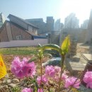 태성자동차종합정비 이미지