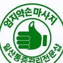 약손 건강샵