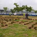 지앤지(G&G) 이미지