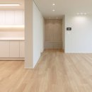 강서구-51 이미지