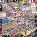 일요농장 | 코타키나발루 | 가야 스트리트 일요시장 선데이 마켓 리뷰 (2)