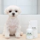 주식회사에이바이오 이미지