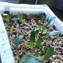 군자농장 이미지