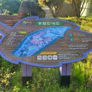 동해무릉건강숲 이미지